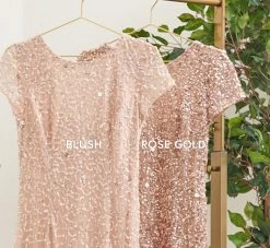 Adrianna Papell Scoop Back Sequin Gown In Rose Gold 13 Adrianna Papell Scoop Back Sequin Gown In Rose Gold -Adrianna Papell Shop 091874600 AA958 Regular Alternate f46314d1 1591 4741 830c 87514c50d7f8