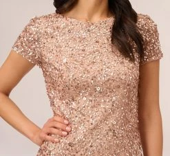 Adrianna Papell Scoop Back Sequin Gown In Rose Gold 9 Adrianna Papell Scoop Back Sequin Gown In Rose Gold -Adrianna Papell Shop 091874600 AA958 Regular Detail