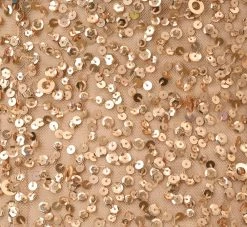 Adrianna Papell Scoop Back Sequin Gown In Champagne Gold -Adrianna Papell Shop 091874600 AD298 Regular Alternate