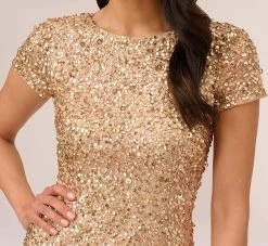Adrianna Papell Scoop Back Sequin Gown In Champagne Gold -Adrianna Papell Shop 091874600 AD298 Regular Detail