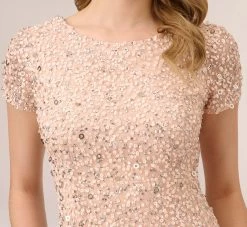 Adrianna Papell Scoop Back Sequin Gown In Blush 8 Adrianna Papell Scoop Back Sequin Gown In Blush -Adrianna Papell Shop 091874600 BLS Regular Detail