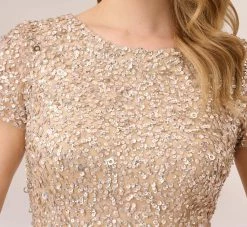 Adrianna Papell Scoop Back Sequin Gown In Champagne 8 Adrianna Papell Scoop Back Sequin Gown In Champagne -Adrianna Papell Shop 091874600 CHA Regular Detail