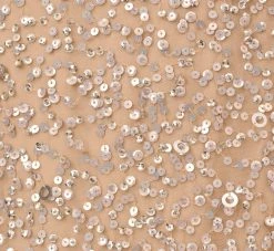 Adrianna Papell Plus Size Scoop Back Sequin Gown In Champagne 13 Adrianna Papell Plus Size Scoop Back Sequin Gown In Champagne -Adrianna Papell Shop 091874601 CHA Plus Alternate