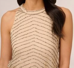 Adrianna Papell Art Deco Beaded Blouson Dress With Halter Neckline In Nude -Adrianna Papell Shop 191914100 NUD Regular Detail