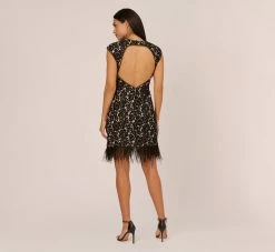 Cap Sleeve Lace Cocktail Dress With Feather Trim In Black Nude -Adrianna Papell Shop ADAE211264 AB263 Regular Back