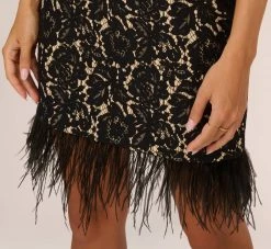 Cap Sleeve Lace Cocktail Dress With Feather Trim In Black Nude -Adrianna Papell Shop ADAE211264 AB263 Regular Lifestyle