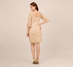 Adrianna Papell Metallic Embroidered Sheath Dress In Blush -Adrianna Papell Shop AP1D104511 AD684 Regular Back