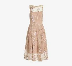 Adrianna Papell Floral Embroidered Flared Dress In Blush Multi -Adrianna Papell Shop AP1D104513 AM970 Regular Flat