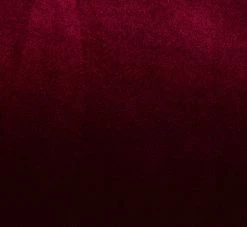 Adrianna Papell Velvet Tie Front Midi Dress With Three Quarter Sleeves In Burgundy -Adrianna Papell Shop AP1D104591 AC506 Regular Alternate 68020600 777f 4600 b338 add402cbbed8