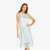 Adrianna Papell Embroidered Illusion Midi-Length Fit-And-Flare Dress In Opal