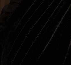 Adrianna Papell Mock Neck Velvet Dress With Sheer Short Sleeves In Black -Adrianna Papell Shop AP1D105096 AA002 Regular Alternate