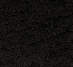 Adrianna Papell Roll Neck Lace Dress With Sheer Elbow Sleeves In Black -Adrianna Papell Shop AP1D105195 AA002 Regular Alternate