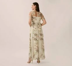 Adrianna Papell Sheer Short Sleeve Lace Gown With Rose Embroidery In Mink Multi -Adrianna Papell Shop AP1E203576 AW920 Regular Back
