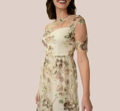 Adrianna Papell Sheer Short Sleeve Lace Gown With Rose Embroidery In Mink Multi -Adrianna Papell Shop AP1E203576 AW920 Regular Detail