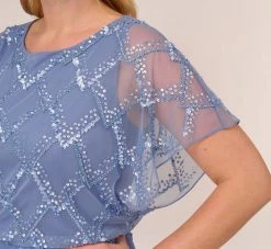 Adrianna Papell Plus Size Hand-Beaded Blouson Long Gown With Flutter Sleeves In French Blue -Adrianna Papell Shop AP1E209547 AA544 Plus Lifestyle