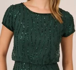 Adrianna Papell Hand-Beaded Blouson Long Gown In Dusty Emerald -Adrianna Papell Shop AP1E210157 AA302 Regular Detail