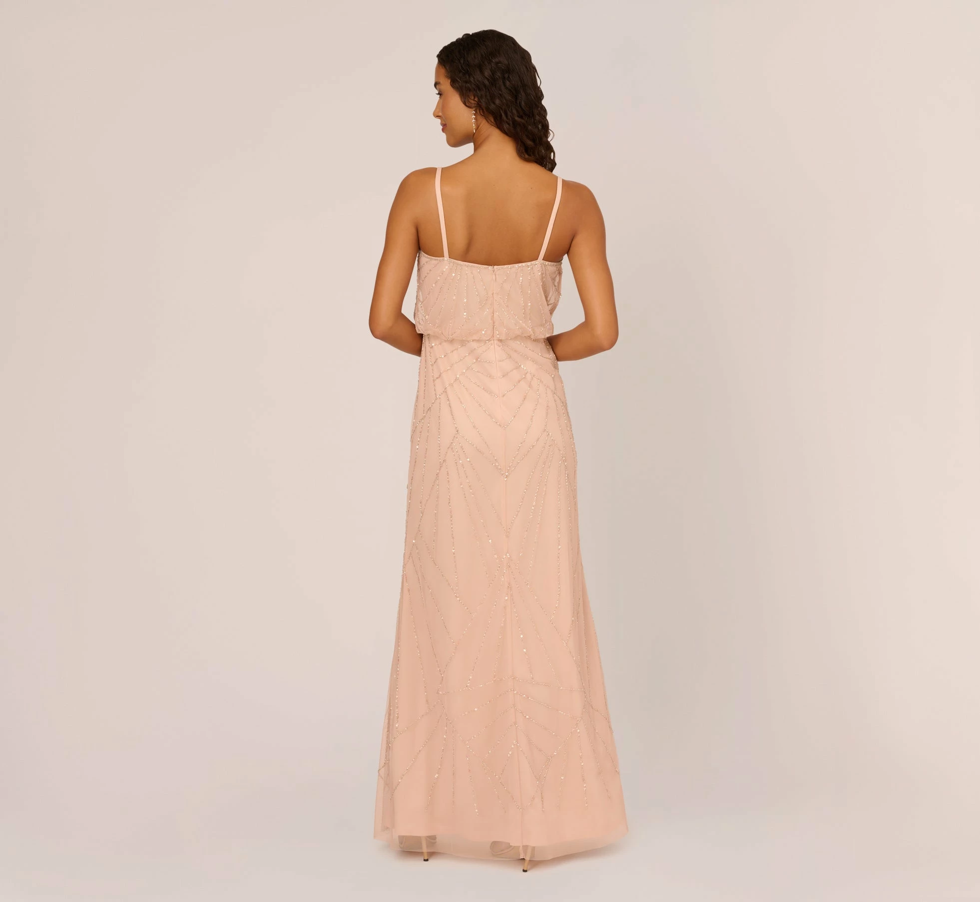 Adrianna Papell Hand-Beaded Blouson Long Sleeveless Gown In Blush 4 Adrianna Papell Hand-Beaded Blouson Long Sleeveless Gown In Blush - Image 4