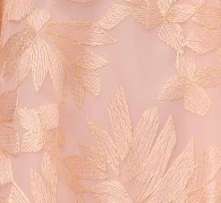 Adrianna Papell Embroidered Fit And Flare Midi Dress With Sheer Neckline In Apricot Ice -Adrianna Papell Shop AP1E210520 AL685 Regular Alternate