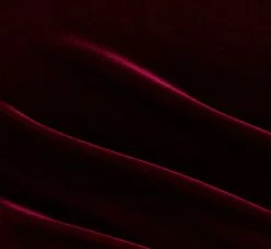 Adrianna Papell Sleeveless Shirred Velvet Mermaid Gown With Ruffle Accent In Burgundy -Adrianna Papell Shop AP1E210662 AC506 Regular Alternate