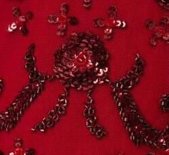 Adrianna Papell Short Sleeve Beaded Gown With Godet Skirt In Cranberry -Adrianna Papell Shop AP1E210813 AD601 Regular Alternate