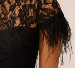 Floral Lace And Feather Trimmed Short Sheath Cocktail Dress In Black -Adrianna Papell Shop MN1E207483 AA002 Regular Lifestyle