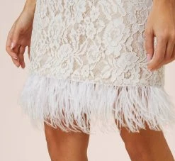 Floral Lace And Feather Trimmed Short Sheath Cocktail Dress In Ivory -Adrianna Papell Shop MN1E207483 AC194 Regular Alternate