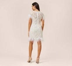 Floral Lace And Feather Trimmed Short Sheath Cocktail Dress In Ivory -Adrianna Papell Shop MN1E207483 AC194 Regular Back