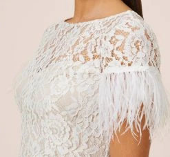 Floral Lace And Feather Trimmed Short Sheath Cocktail Dress In Ivory -Adrianna Papell Shop MN1E207483 AC194 Regular Side