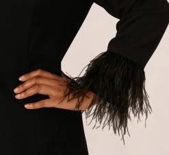 Plus Size Knit Crepe Long Sleeve Blazer Dress With Feather Trim In Black -Adrianna Papell Shop MN1E208395 AA002 Plus Lifestyle